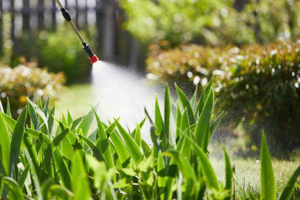 24/7 Emergency Fumigation Services experts in Alpharetta, GA