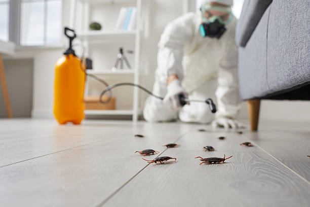 Trusted Fumigation Services service in Alpharetta, GA - Nex Pest Control